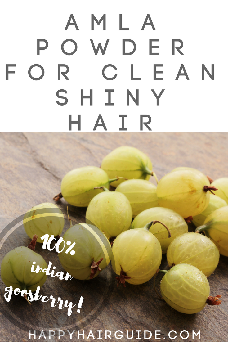 Amla for hair – the alternative shampoo ingredient you have to try | Happy  Hair Guide
